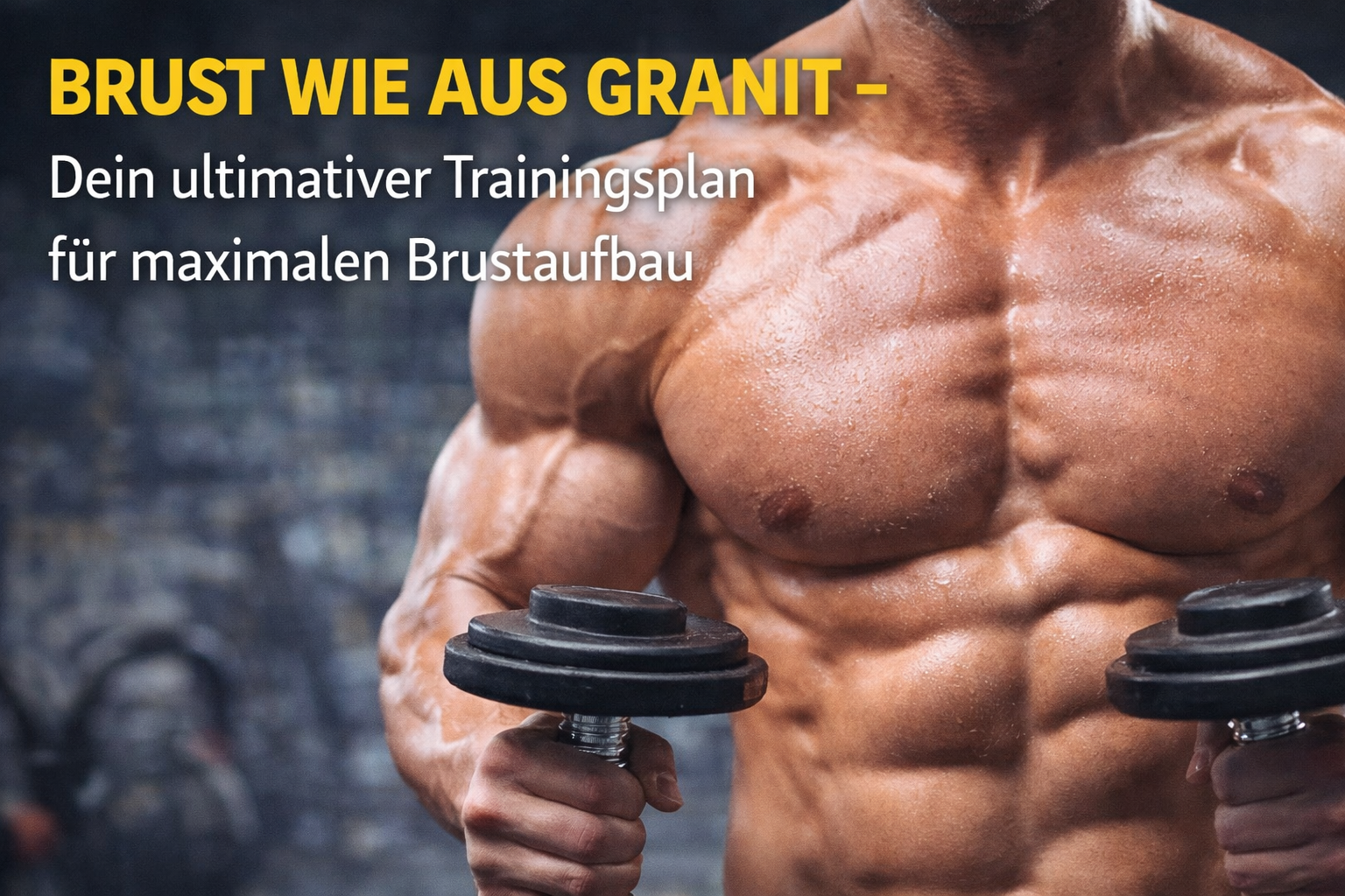 Brust wie aus Granit - Dein ultimativer Trainingsplan für maximalen Brustaufbau