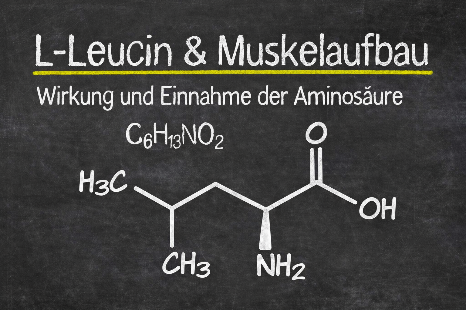 L-Leucine und Muskelaufbau - Alles über Wirkung und Einnahme der Aminosäure